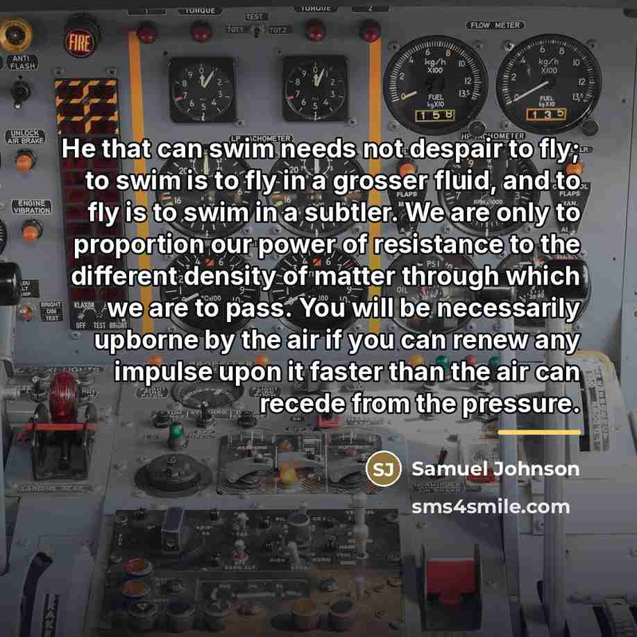 “He that can swim needs not despair to fly; to…” quote by Samuel Johnson