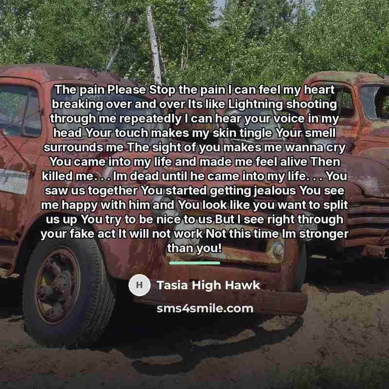 “The pain Please Stop the pain I can feel my…” quote by Tasia High Hawk
