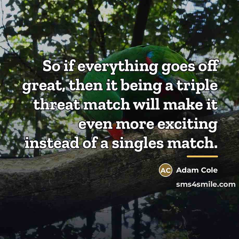 “So if everything goes off great, then it being a…” quote by Adam Cole