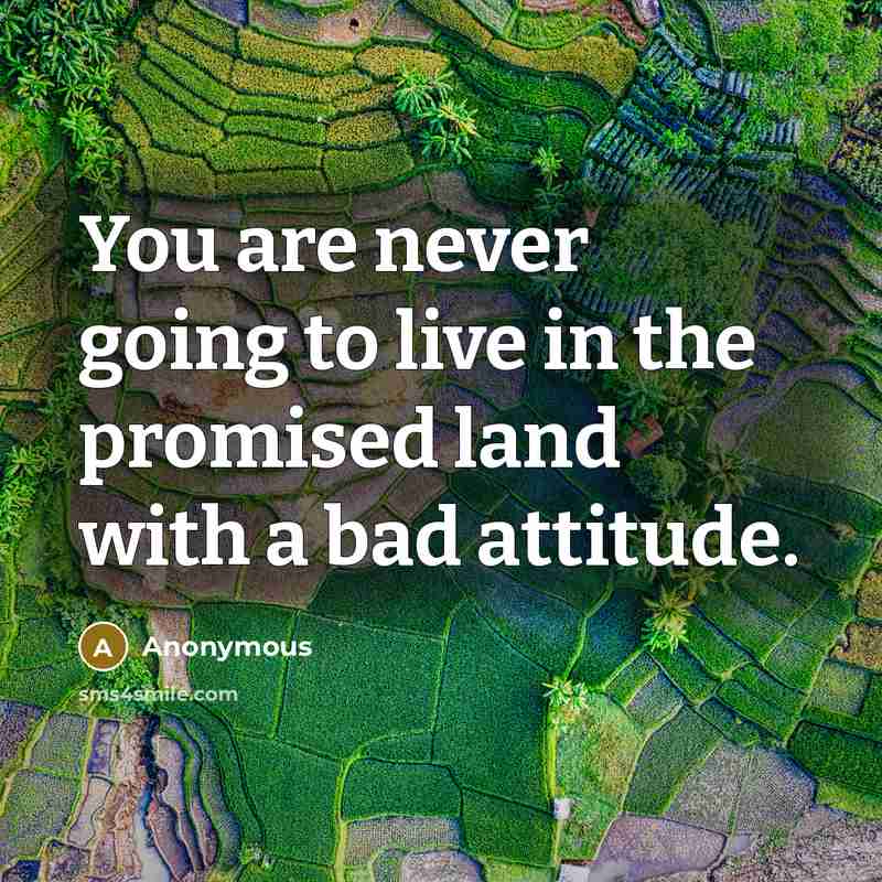 “You are never going to live in the promised land…” quote by Anonymous