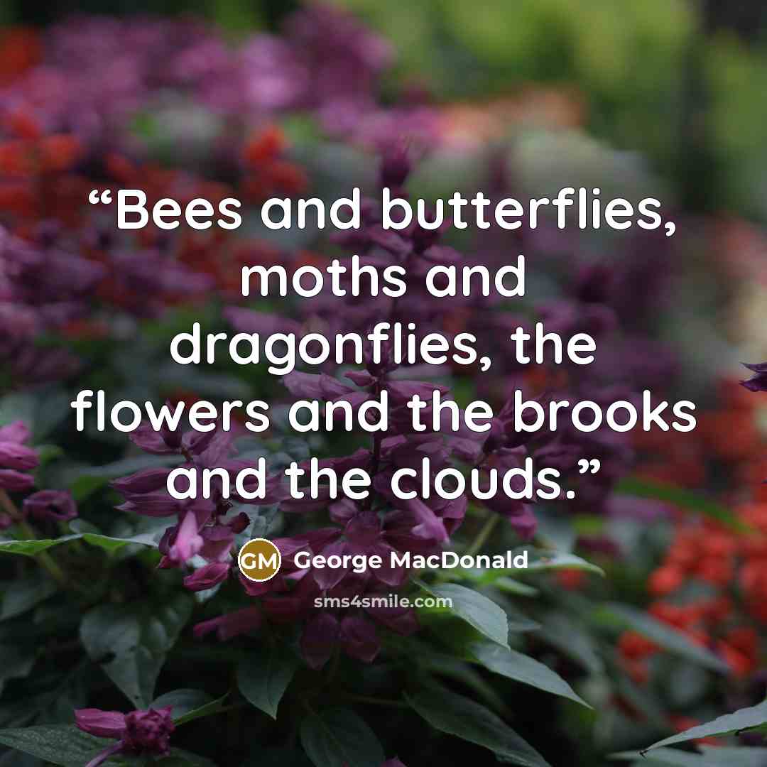 “Bees and butterflies, moths and dragonflies, the flowers and the brooks and the clouds.” quote by George MacDonald