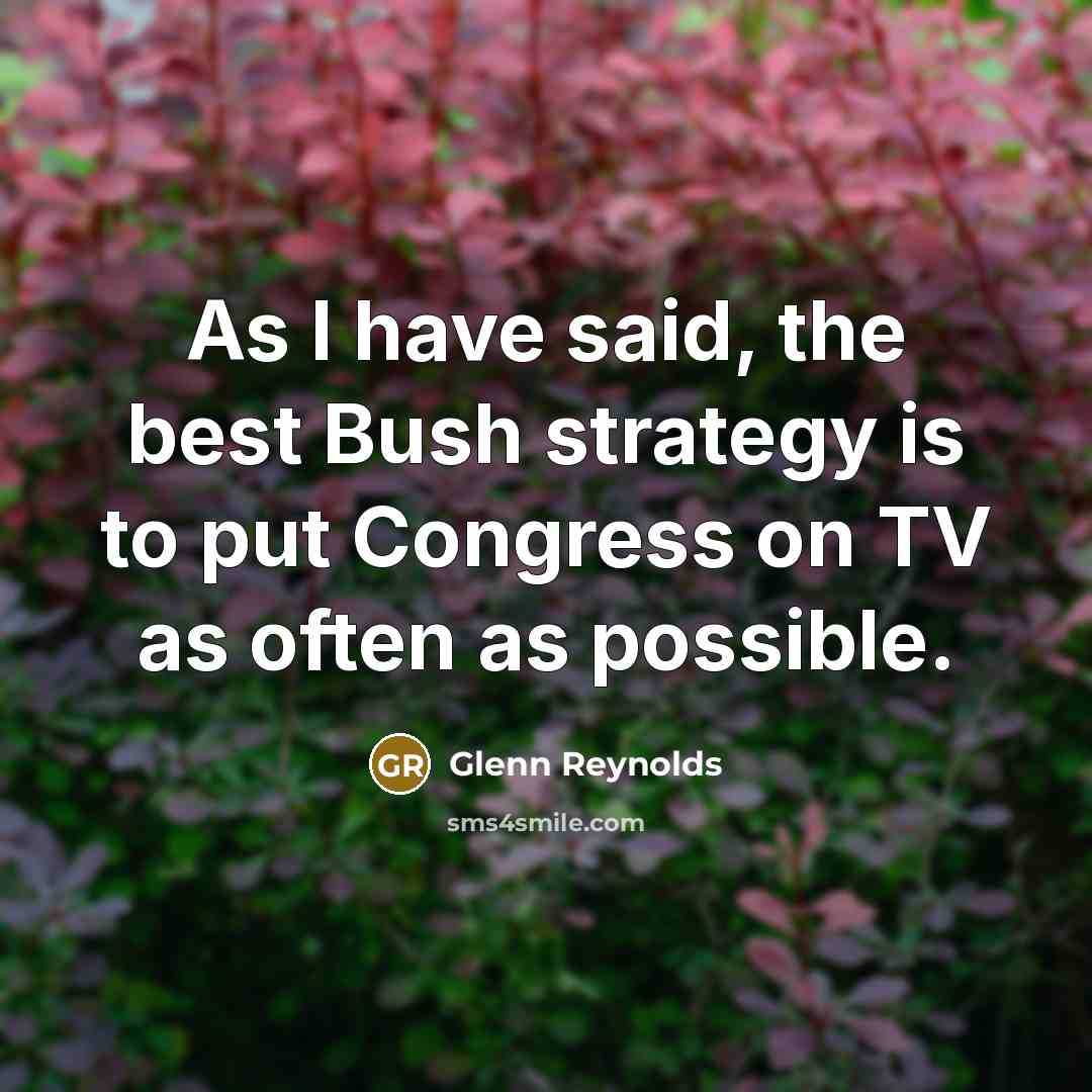 “As I have said, the best Bush strategy is to…” quote by Glenn Reynolds