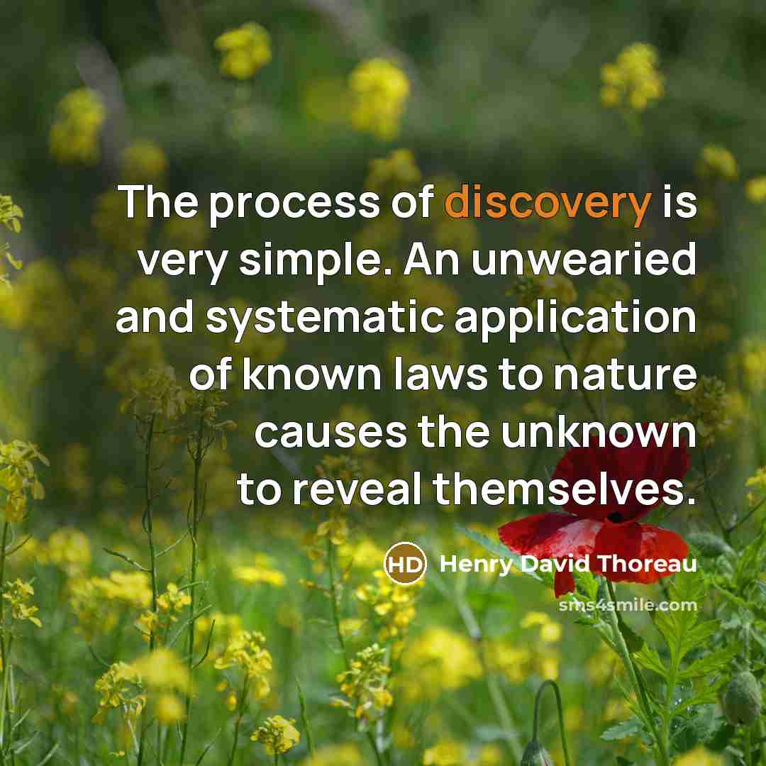 “The process of discovery is very simple. An unwearied and…” quote by Henry David Thoreau