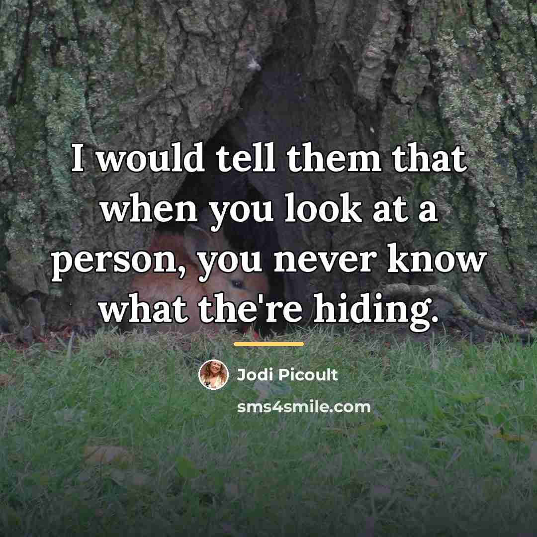 “I would tell them that when you look at a…” quote by Jodi Picoult