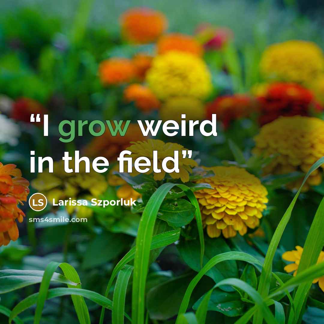 “I grow weird in the field” quote by Larissa Szporluk