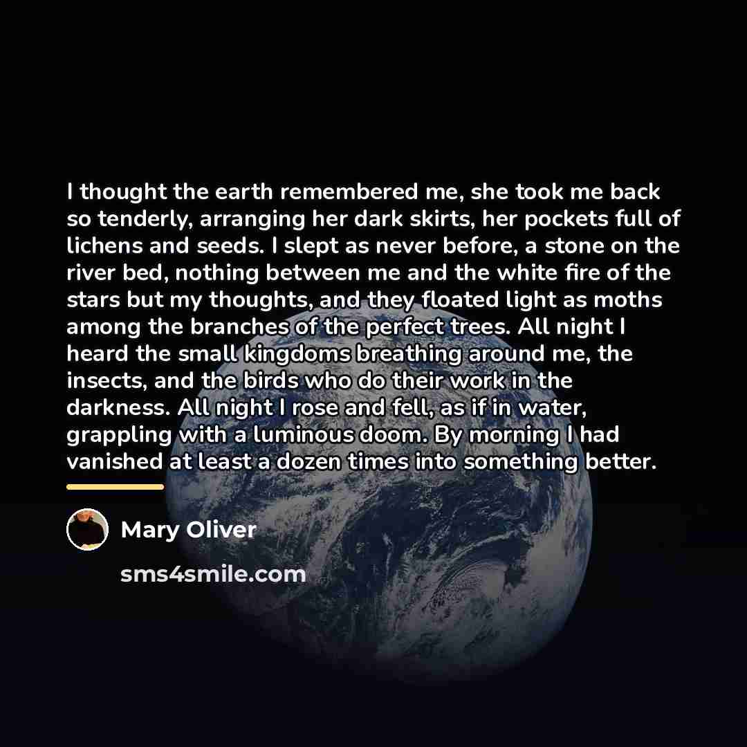 “I thought the earth remembered me, she took me back…” quote by Mary Oliver