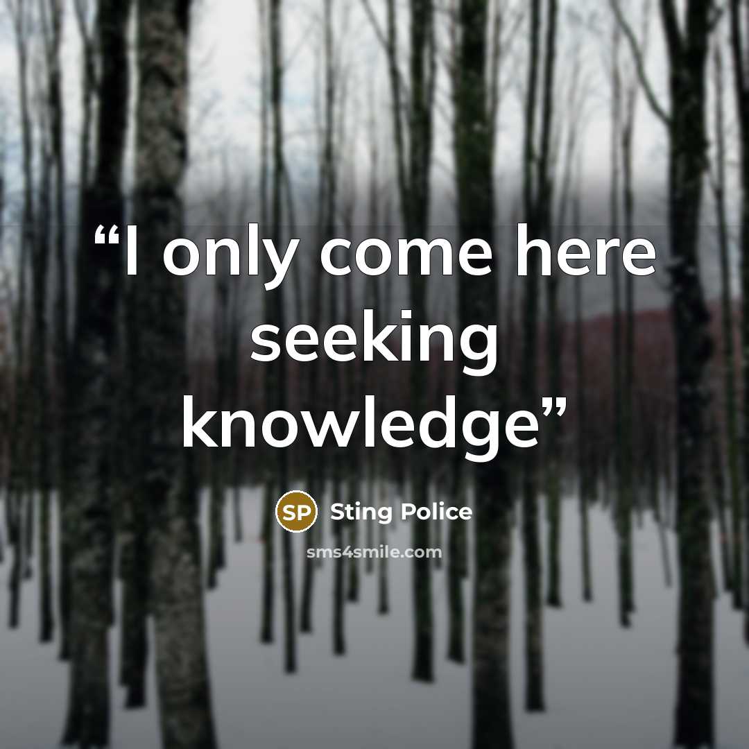 “I only come here seeking knowledge” quote by Sting Police
