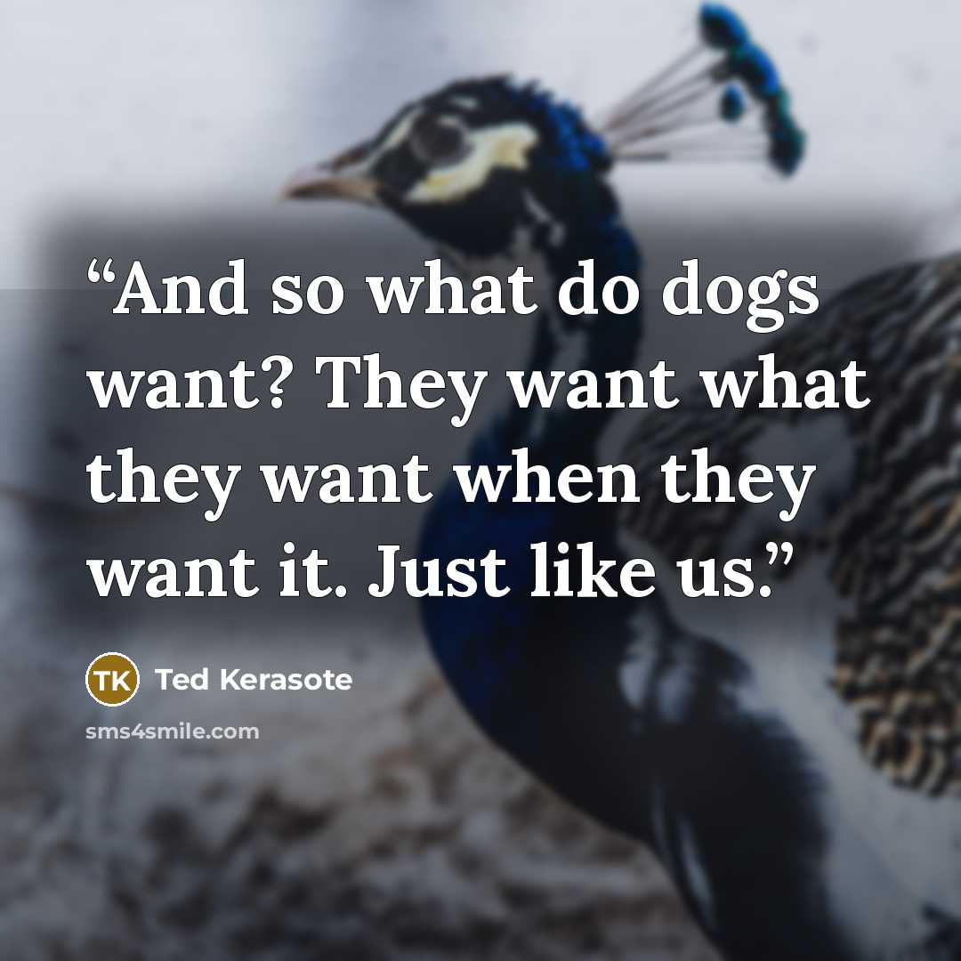 “And so what do dogs want? They want what they want when they want it. Just like us.” quote by Ted Kerasote