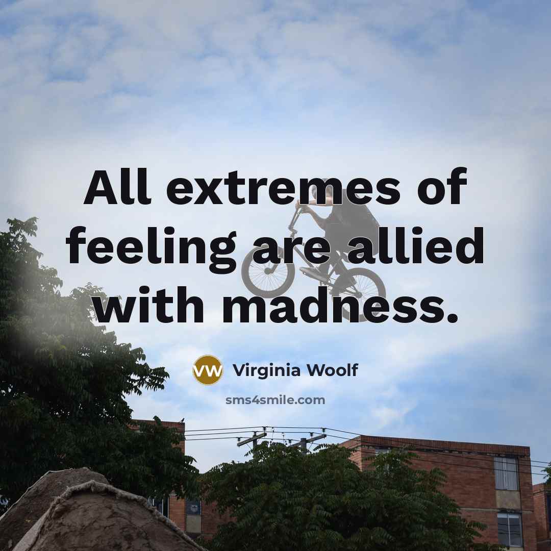 “All extremes of feeling are allied with madness.…” quote by Virginia Woolf