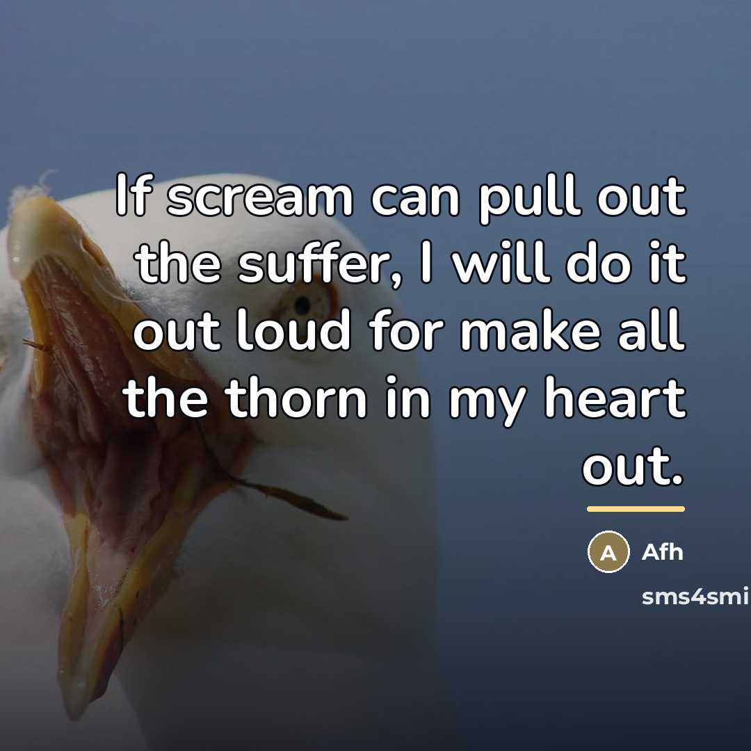 “If scream can pull out the suffer, I will do…” quote by Afh