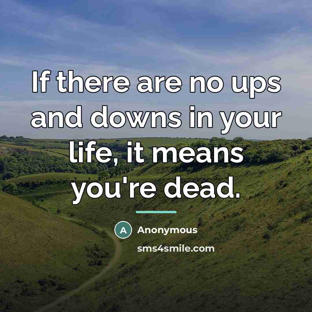 “If there are no ups and downs in your life,…” quote by Anonymous