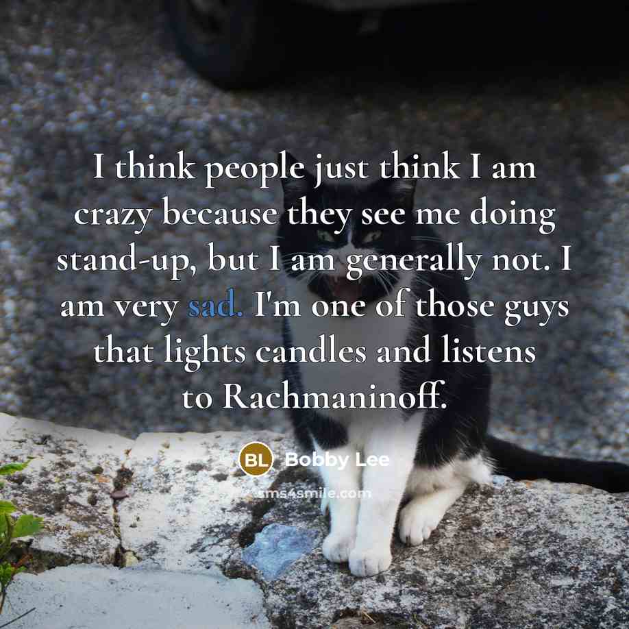 “I think people just think I am crazy because they…” quote by Bobby Lee