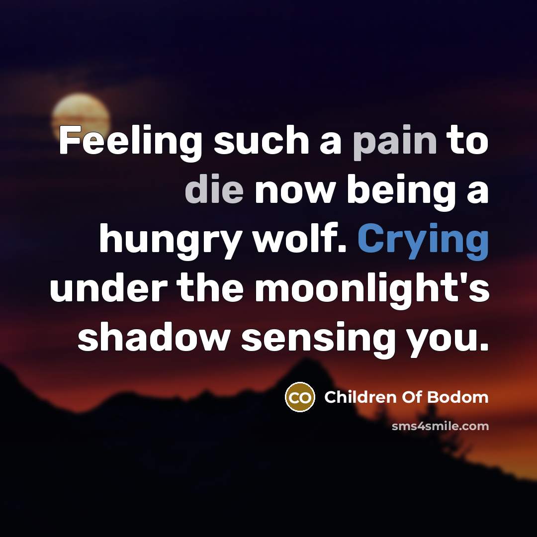 “Feeling such a pain to die now being a hungry wolf. Crying under the moonlight's shadow sensing you.” quote by Children Of Bodom
