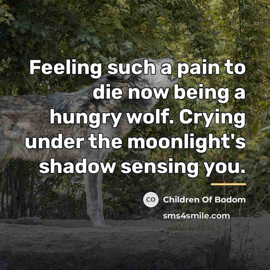 “Feeling such a pain to die now being a hungry…” quote by Children Of Bodom