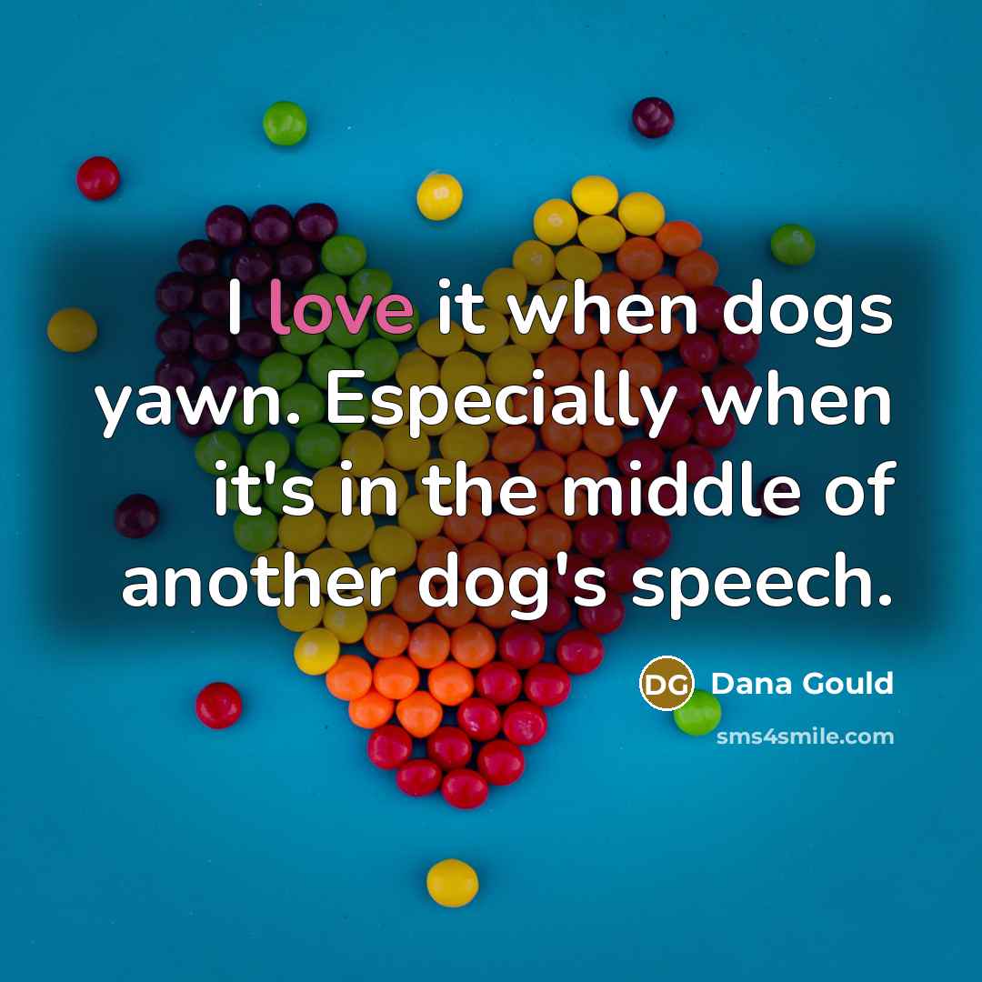 “I love it when dogs yawn. Especially when it's in…” quote by Dana Gould