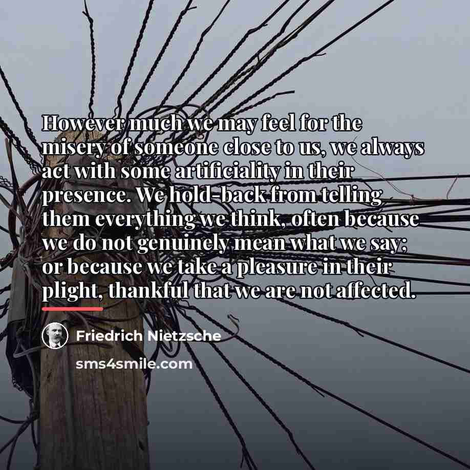 “However much we may feel for the misery of someone…” quote by Friedrich Nietzsche
