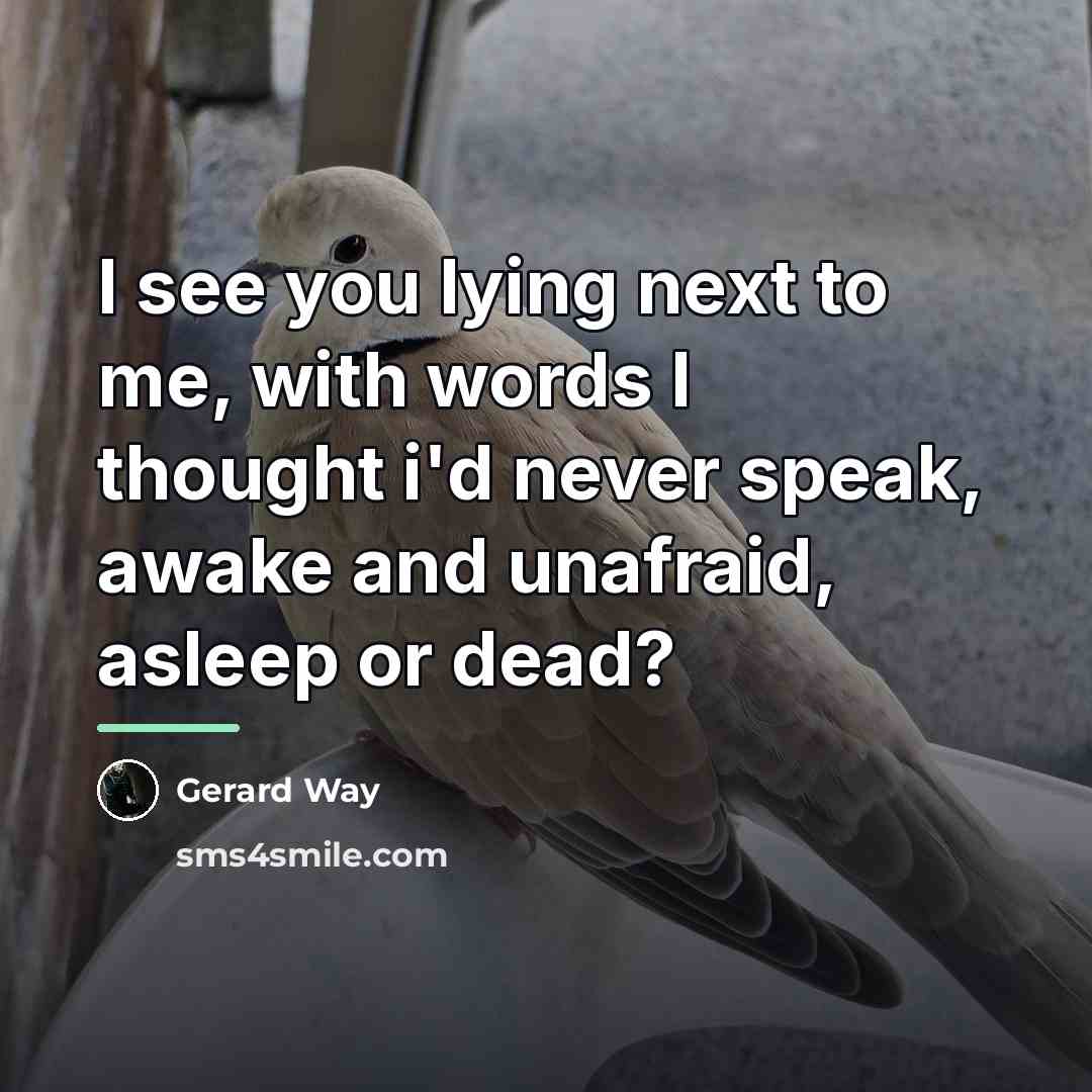 “I see you lying next to me, with words I…” quote by Gerard Way
