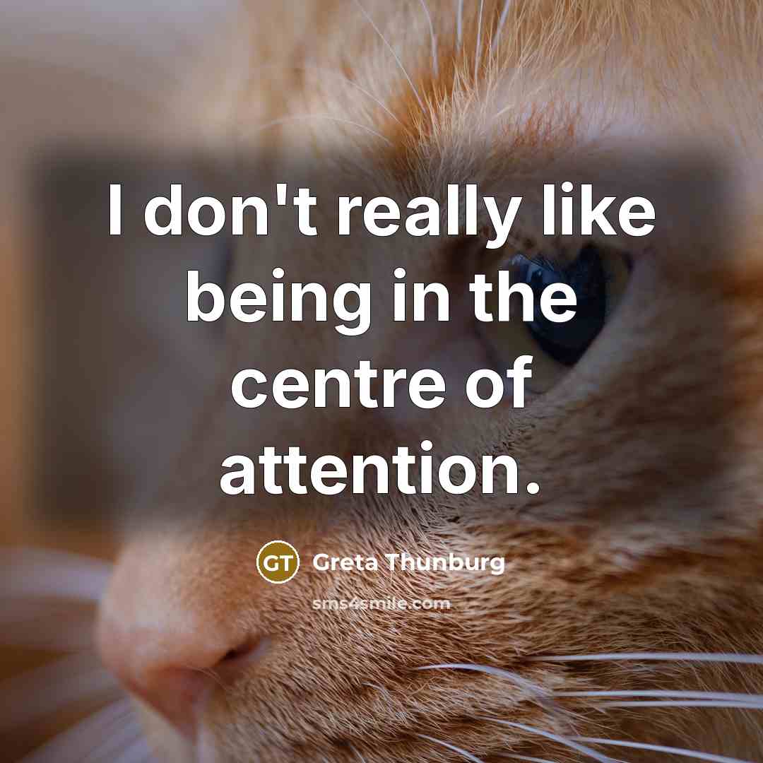 “I don't really like being in the centre of attention.…” quote by Greta Thunburg