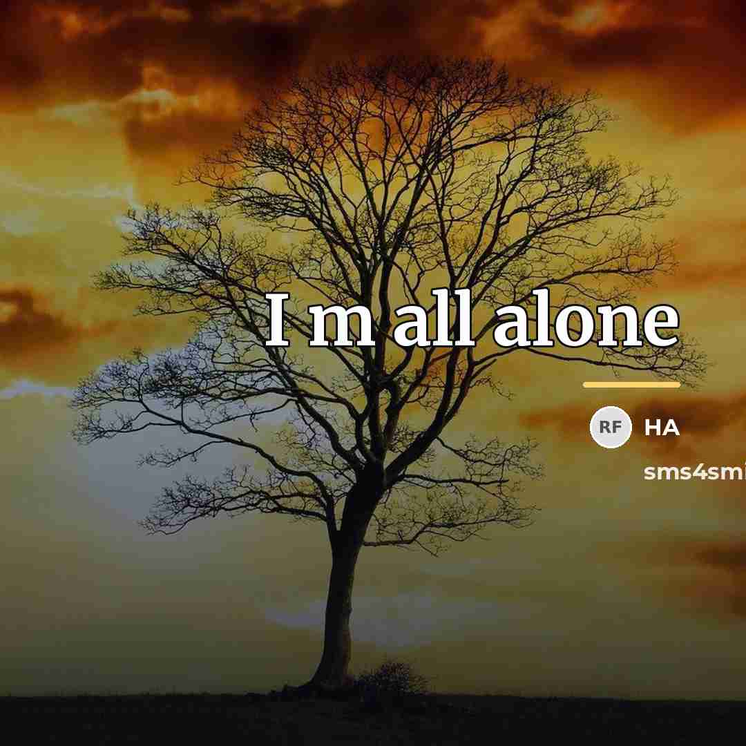 “I m all alone…” quote by Ha