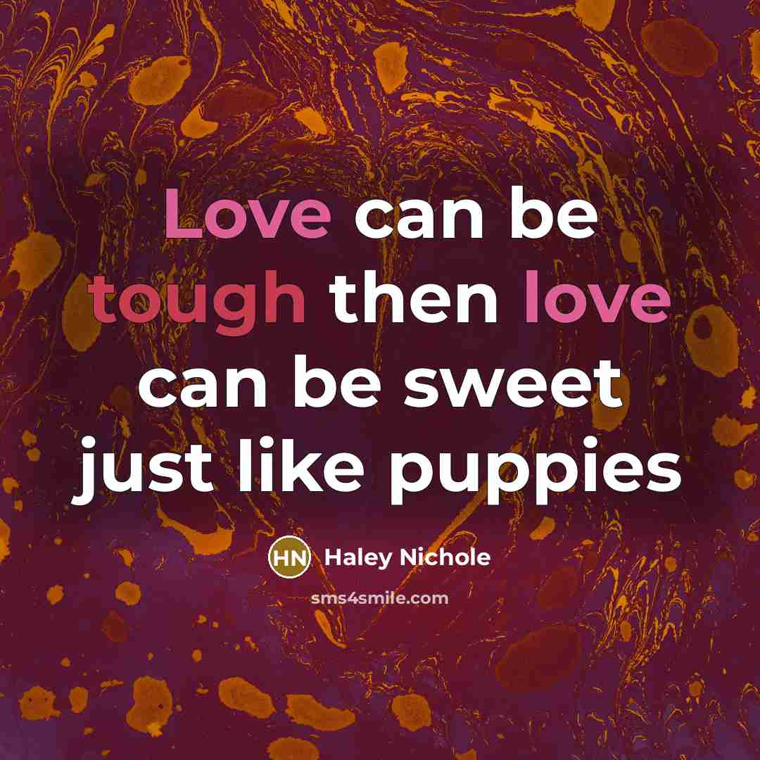 “Love can be tough then love can be sweet just…” quote by Haley Nichole