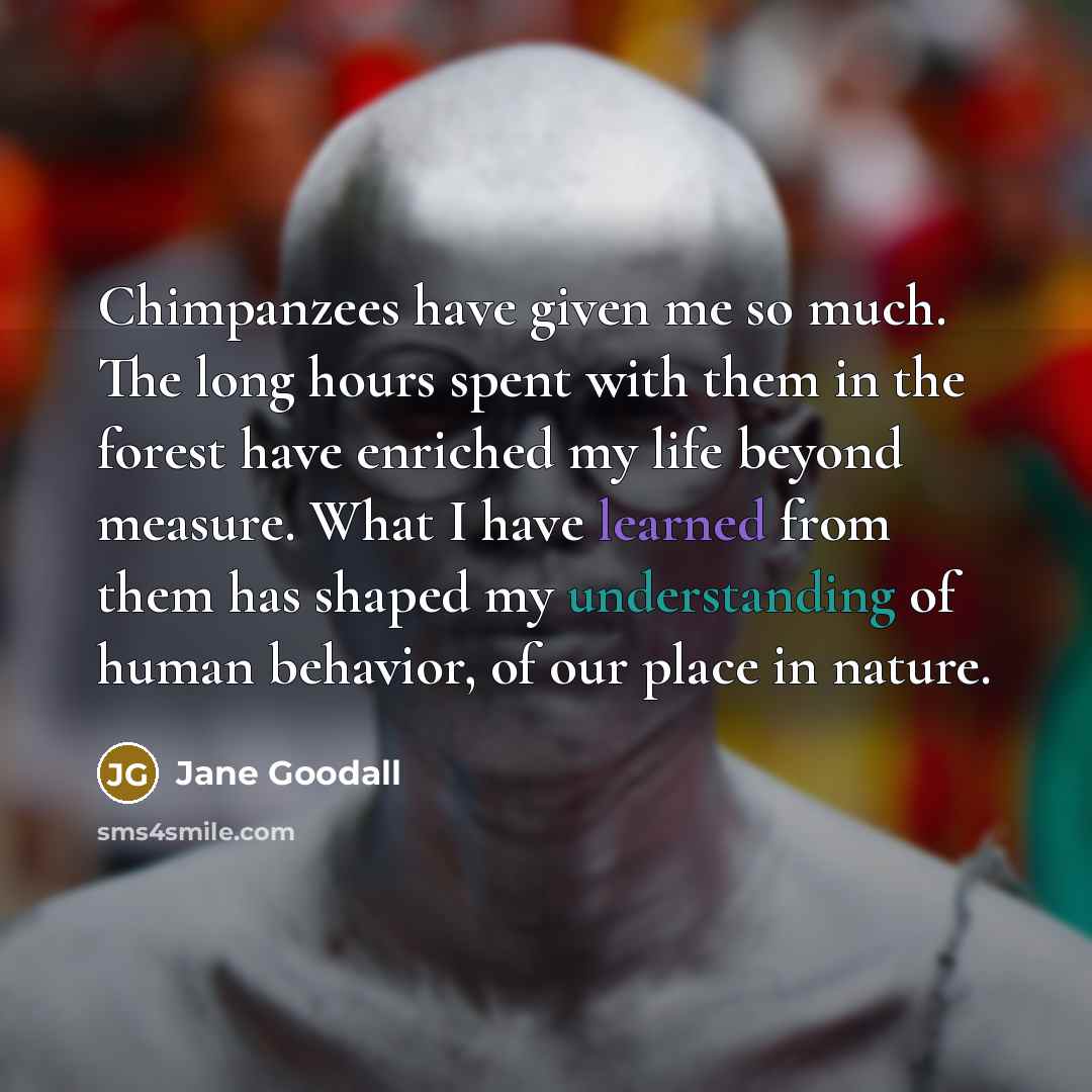 “Chimpanzees have given me so much. The long hours spent with them in the forest have enriched my life beyond measure. What I have learned from them has shaped my understanding of human behavior, of our place in nature.” quote by Jane Goodall