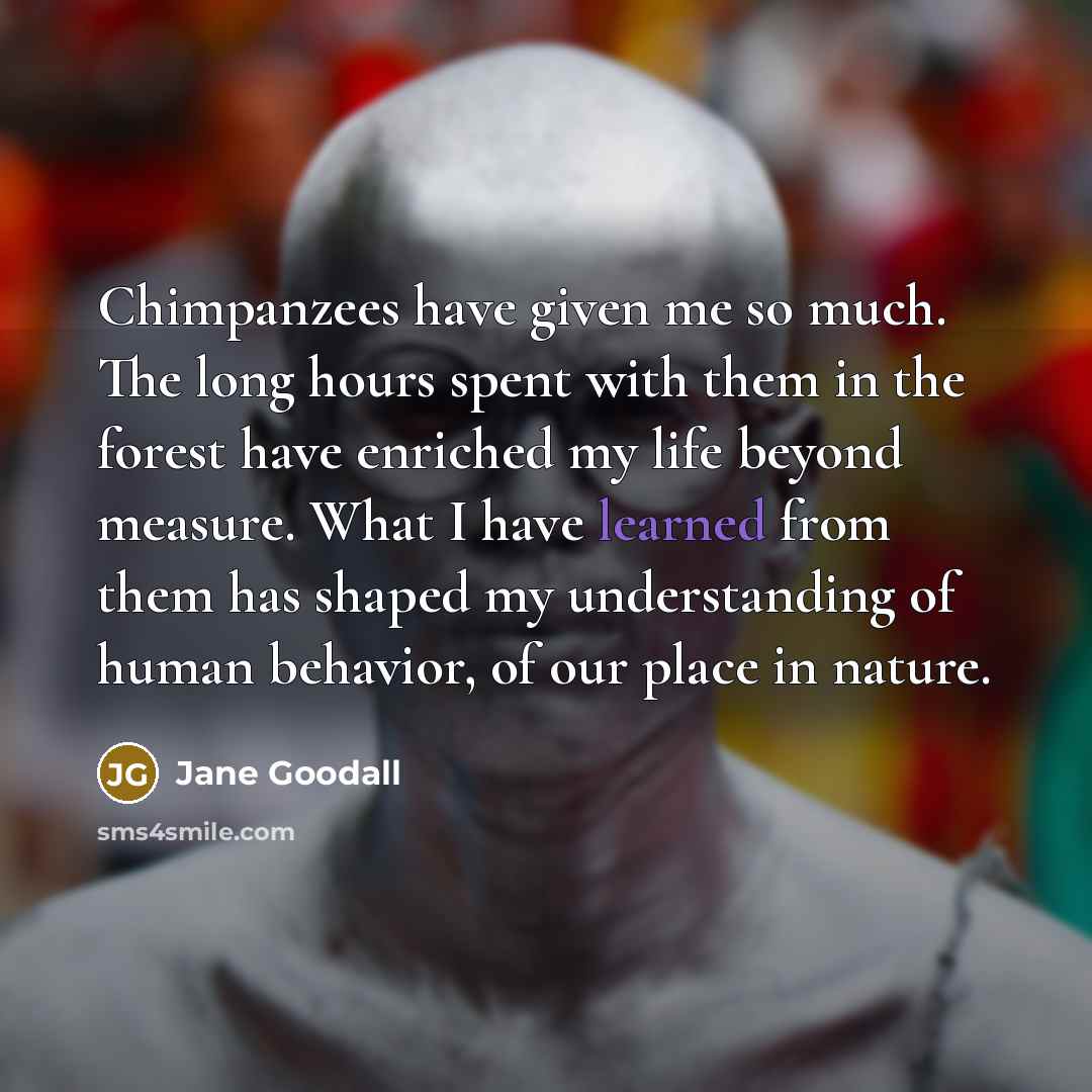 “Chimpanzees have given me so much. The long hours spent…” quote by Jane Goodall
