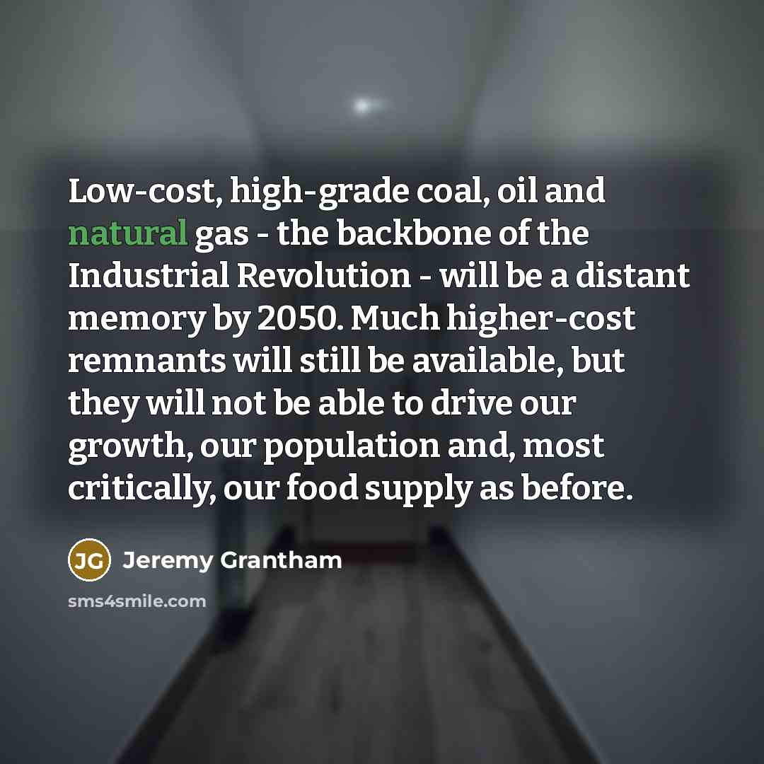 “Low-cost, high-grade coal, oil and natural gas - the backbone…” quote by Jeremy Grantham