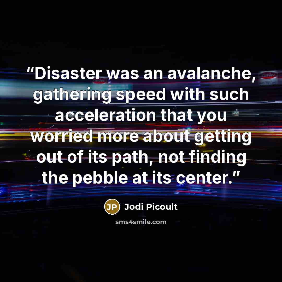 “Disaster was an avalanche, gathering speed with such acceleration that you worried more about getting out of its path, not finding the pebble at its center.” quote by Jodi Picoult