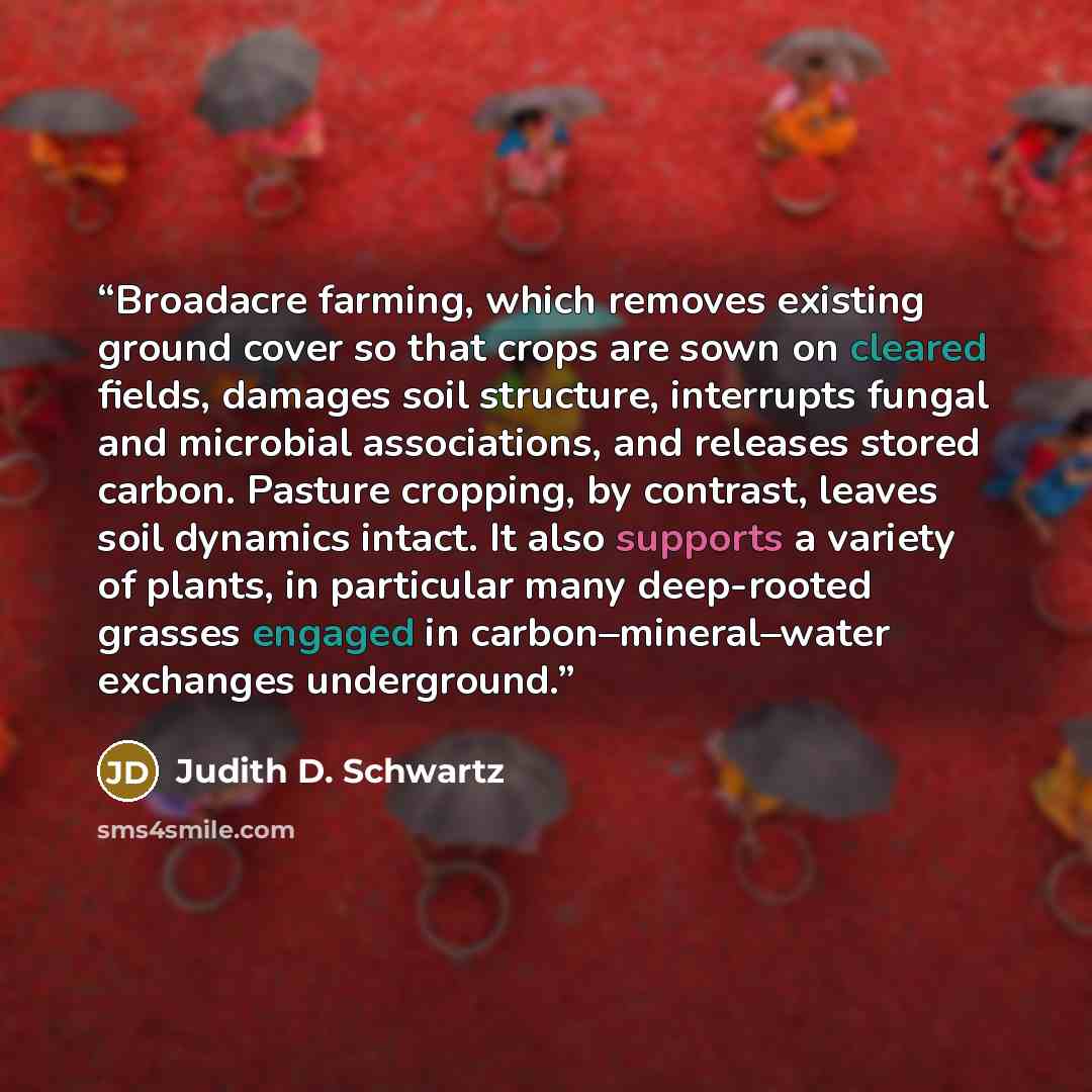 “Broadacre farming, which removes existing ground cover so that crops are sown on cleared fields, damages soil structure, interrupts fungal and microbial associations, and releases stored carbon. Pasture cropping, by contrast, leaves soil dynamics intact. It also supports a variety of plants, in…” quote by Judith D. Schwartz