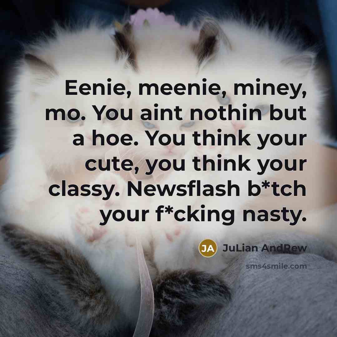 “Eenie, meenie, miney, mo. You aint nothin but a hoe. You think your cute, you think your classy. Newsflash b*tch your f*cking nasty.” quote by Julian AndRew