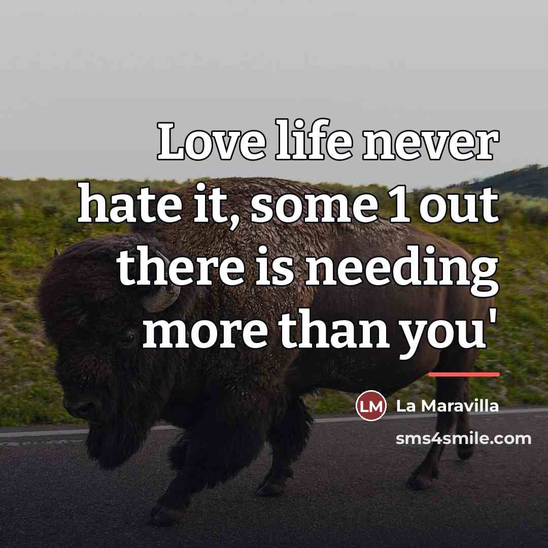 “Love life never hate it, some 1 out there is…” quote by La Maravilla