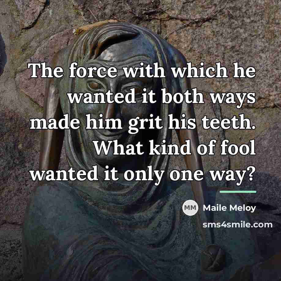 “The force with which he wanted it both ways made…” quote by Maile Meloy