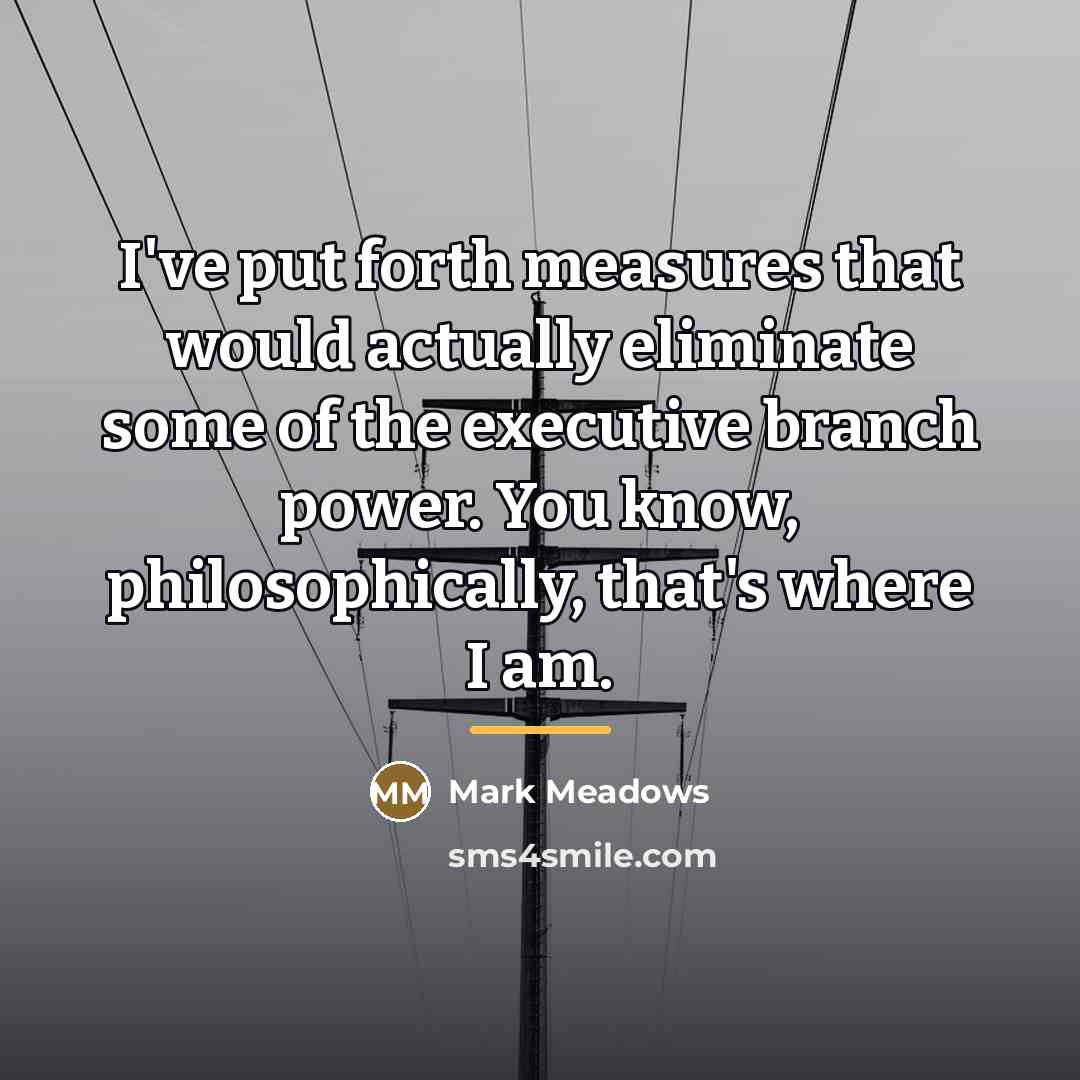 “I've put forth measures that would actually eliminate some of…” quote by Mark Meadows