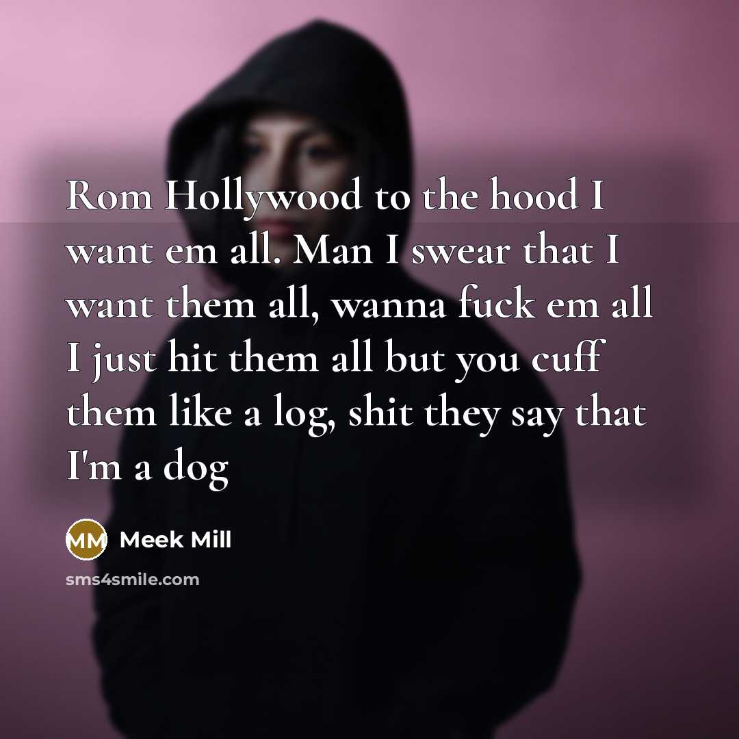 “Rom Hollywood to the hood I want em all. Man I swear that I want them all, wanna fuck em all I just hit them all but you cuff them like a log, shit they say that I'm a dog” quote by Meek Mill