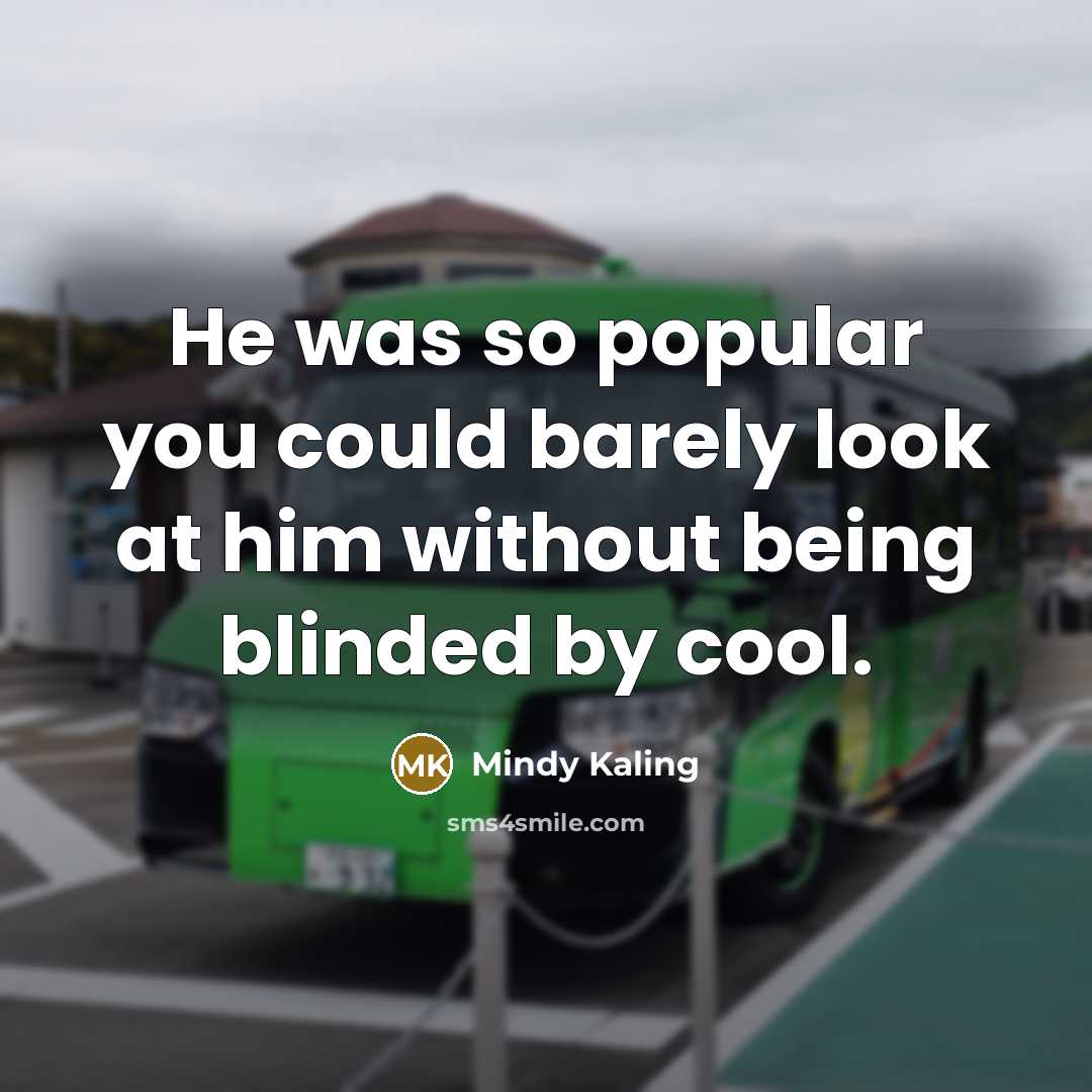 “He was so popular you could barely look at him…” quote by Mindy Kaling