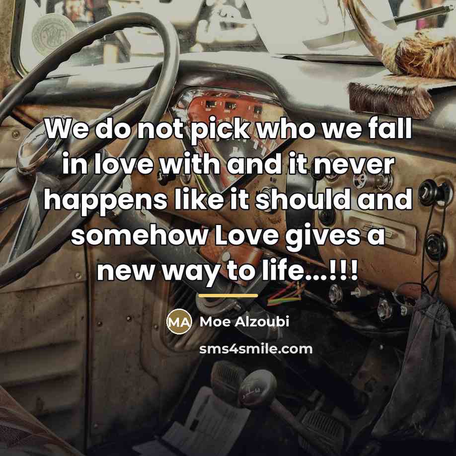 “We do not pick who we fall in love with…” quote by Moe Alzoubi