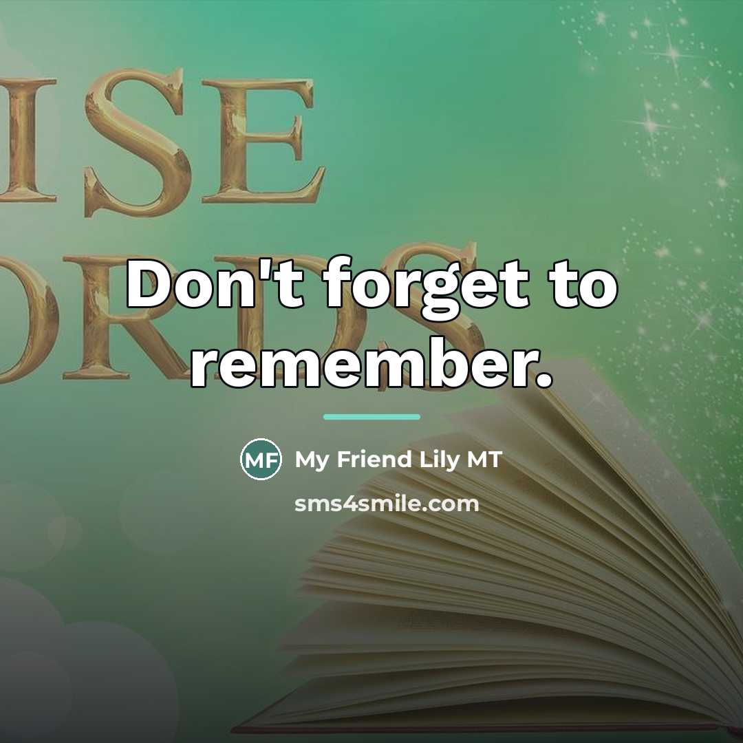 “Don't forget to remember.…” quote by My Friend Lily MT