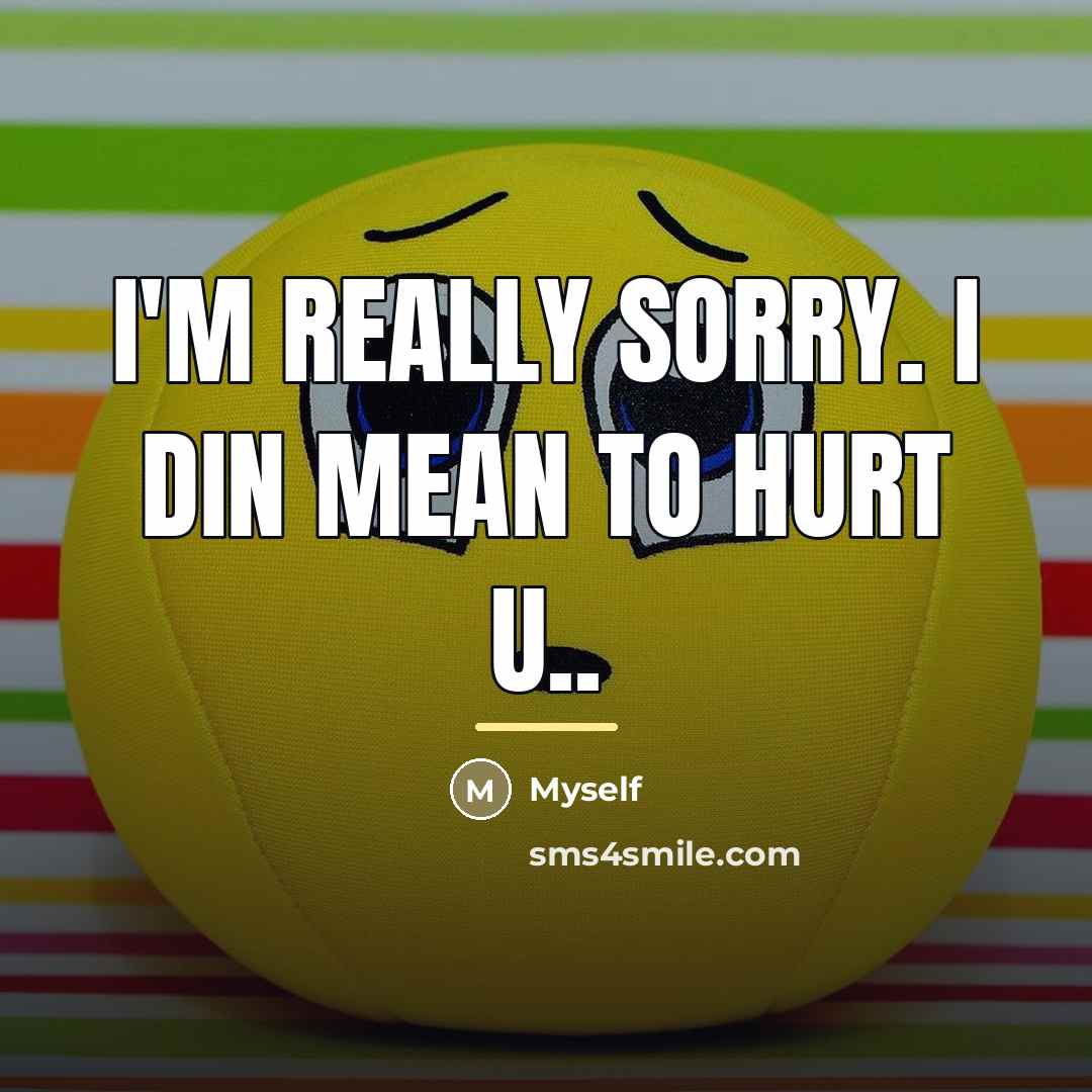 “I'm really sorry. I din mean to hurt u..…” quote by Myself