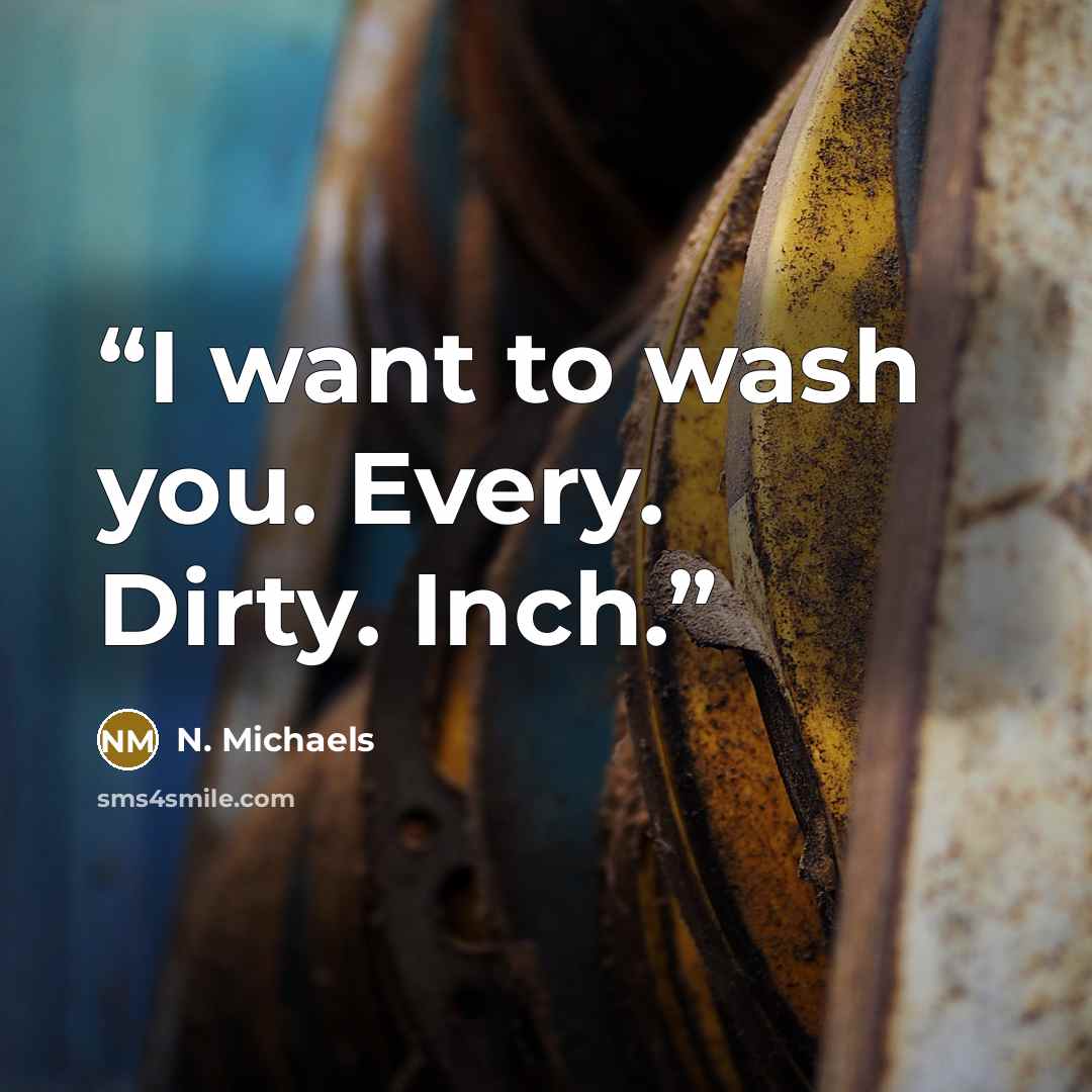 “I want to wash you. Every. Dirty. Inch.” quote by N. Michaels