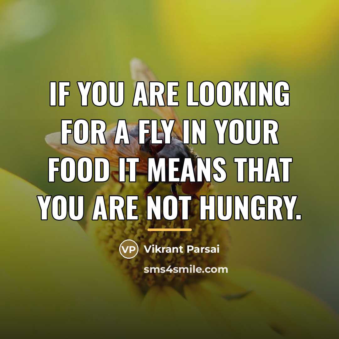 “If you are looking for a fly in your food…” quote by Vikrant Parsai