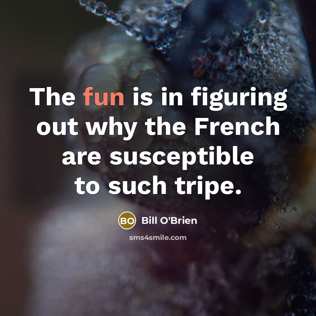 “The fun is in figuring out why the French are…” quote by Bill O'Brien