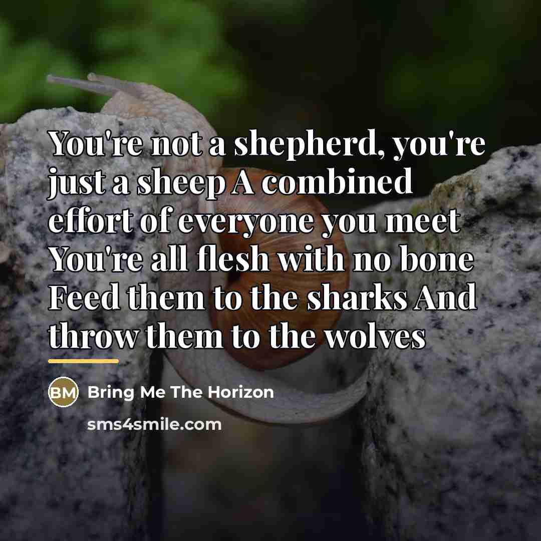 “You're not a shepherd, you're just a sheep A combined…” quote by Bring Me The Horizon