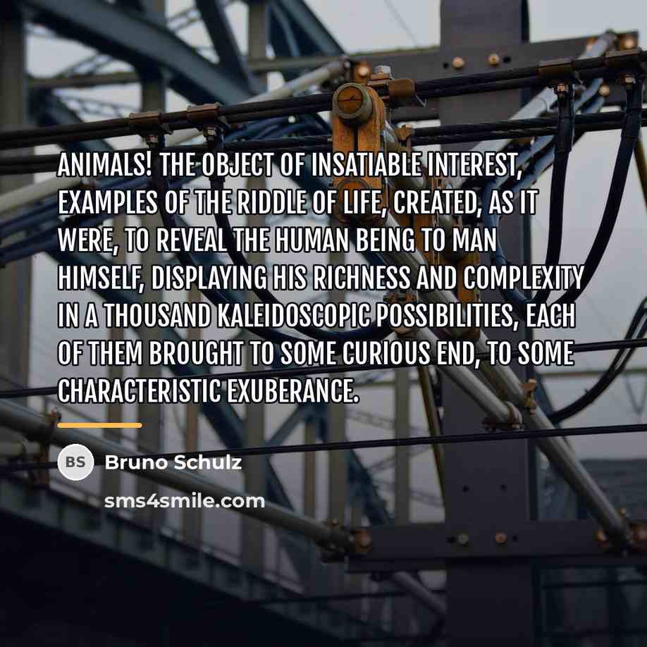 “Animals! the object of insatiable interest, examples of the riddle…” quote by Bruno Schulz