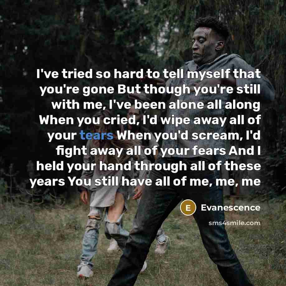 “I've tried so hard to tell myself that you're gone…” quote by Evanescence