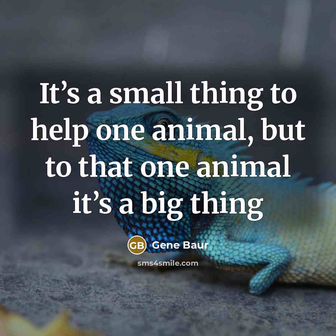 “It’s a small thing to help one animal, but to…” quote by Gene Baur