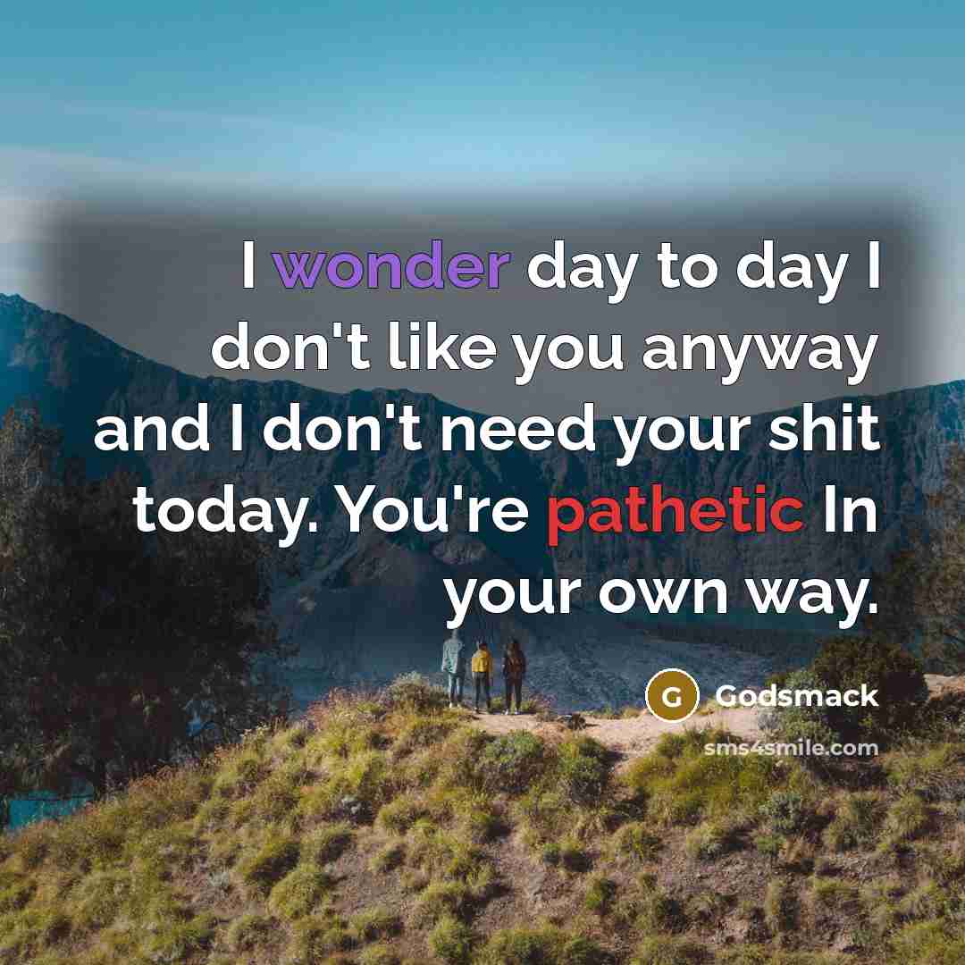 “I wonder day to day I don't like you anyway…” quote by Godsmack