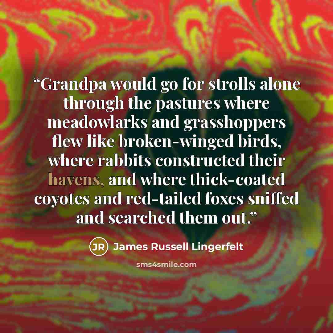 “Grandpa would go for strolls alone through the pastures where meadowlarks and grasshoppers flew like broken-winged birds, where rabbits constructed their havens, and where thick-coated coyotes and red-tailed foxes sniffed and searched them out.” quote by James Russell Lingerfelt