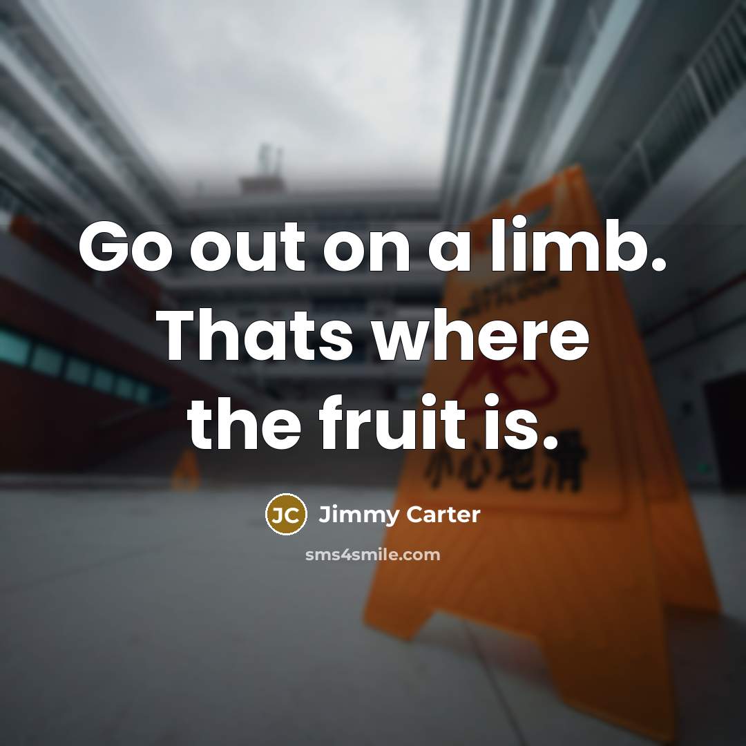 “Go out on a limb. Thats where the fruit is.…” quote by Jimmy Carter