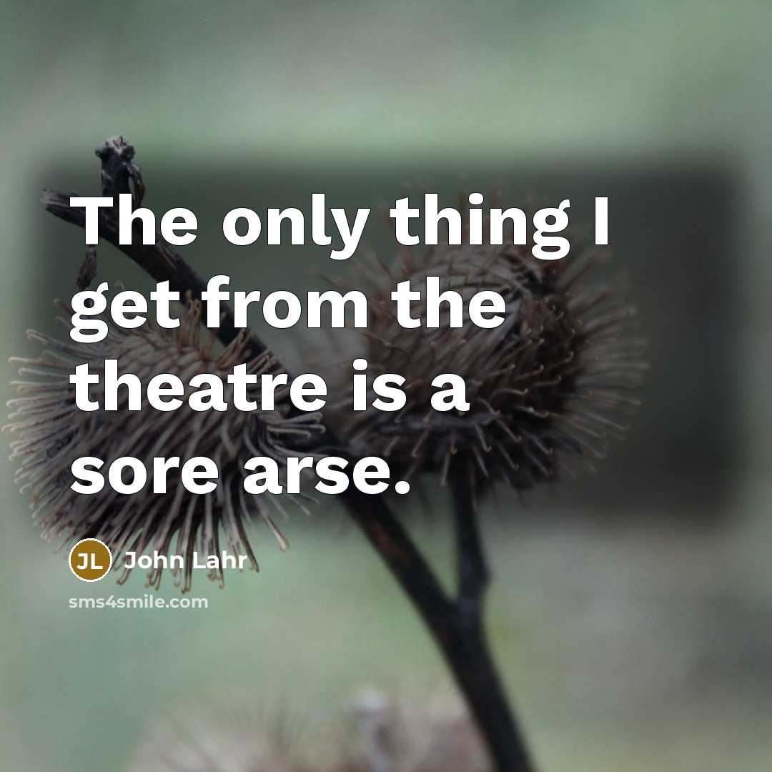 “The only thing I get from the theatre is a sore arse.” quote by John Lahr