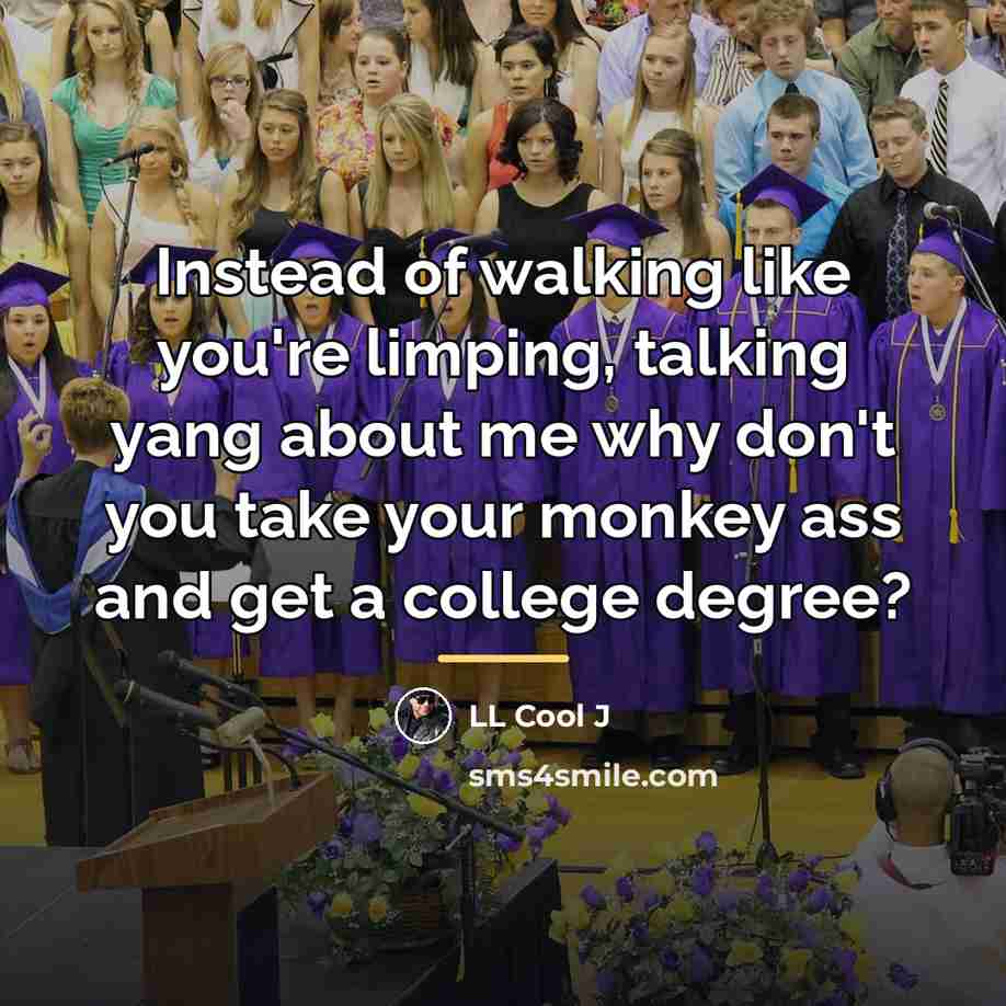 “Instead of walking like you're limping, talking yang about me…” quote by LL Cool J